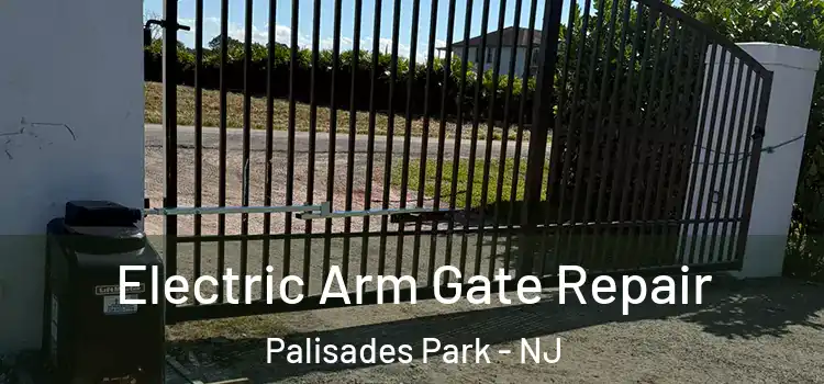  Electric Arm Gate Repair Palisades Park - NJ
