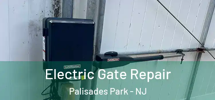  Electric Gate Repair Palisades Park - NJ