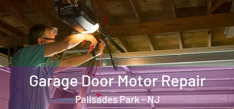  Garage Door Motor Repair Palisades Park - NJ
