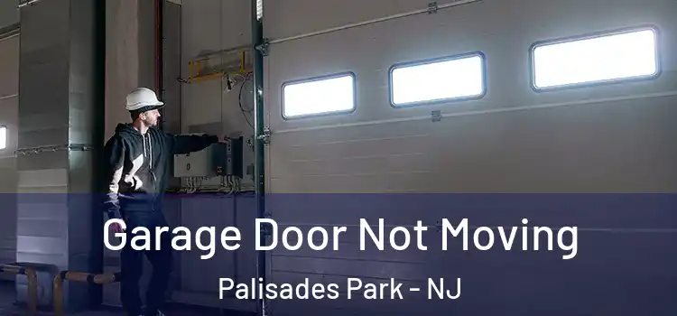  Garage Door Not Moving Palisades Park - NJ