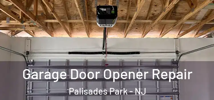  Garage Door Opener Repair Palisades Park - NJ