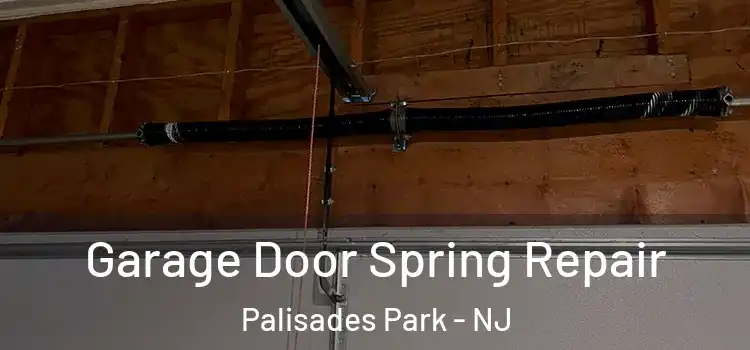  Garage Door Spring Repair Palisades Park - NJ