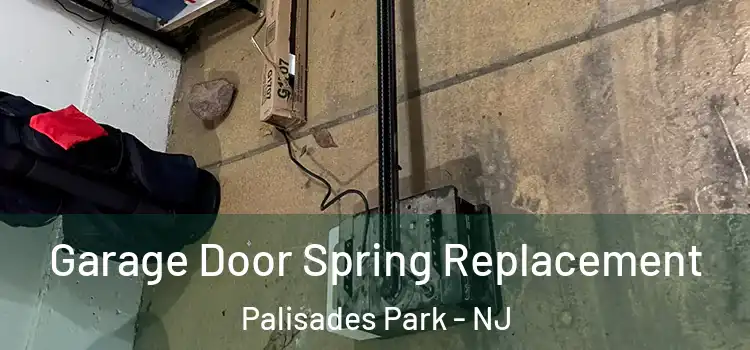  Garage Door Spring Replacement Palisades Park - NJ