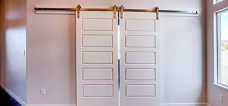 Glass Barn Door with Installation Hardware Kit Palisades Park