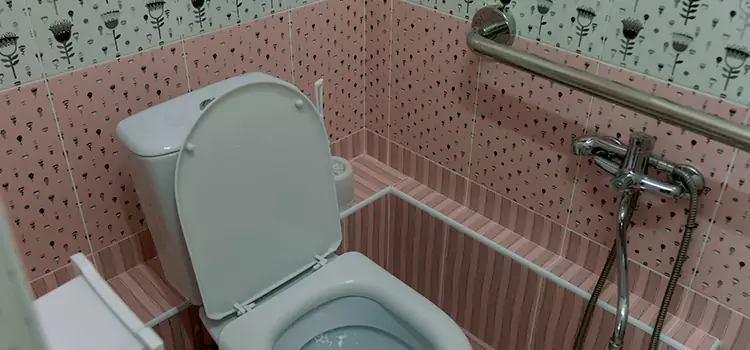 Meeting Diverse Needs With Accessible Restroom Solutions in Palisades Park, NJ