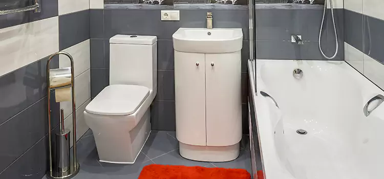 Hansgrohe Shaving Mirror Palisades Park