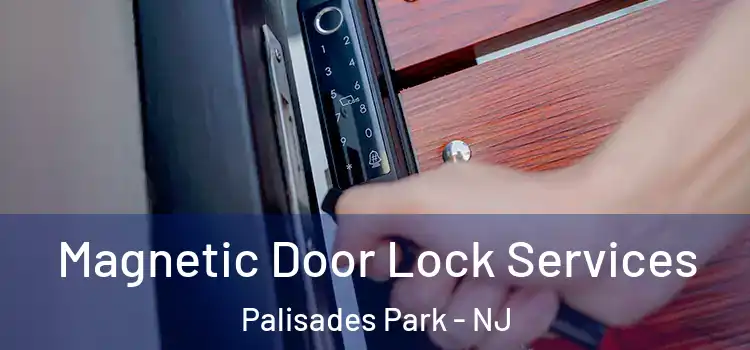  Magnetic Door Lock Services Palisades Park - NJ